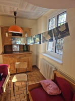 IMAGE 2024-11-24 18_41_52.jpg